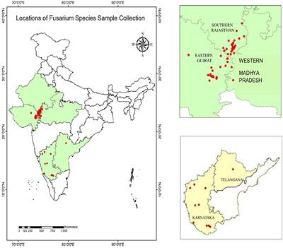 Morphological characterization, pathogenicity screening, and molecular identification of Fusarium spp. isolates causing post-flowering stalk rot in maize